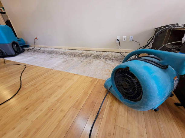 Professional Water Extraction technician working in Buckeye, AZ